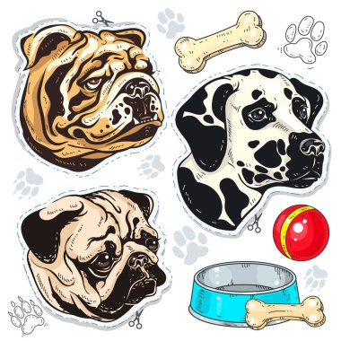 Köpek, bulldog, pug, Dalmaçya ve kemik bir kase renkli vektör simgeler
