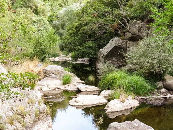 Dağ nehri, yeşillik, eko-turizm, yemyeşil ve doğal manzarayla çevrili Manzaralı dağ nehri. Çevre turizmi için mükemmel bir yer, deniz kenarında piknik, ya da kuraklık ve iklim değişikliği hakkında çevre bilinci.