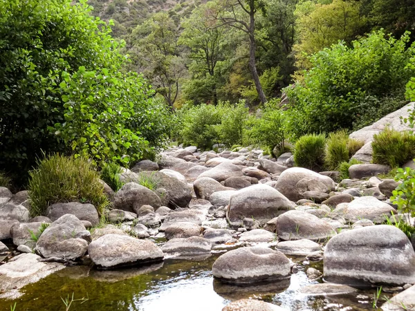  Dağ nehri, yeşillik, eko-turizm manzaralı dağ nehri yemyeşil ve doğal manzarayla çevrili. Çevre turizmi için mükemmel bir yer, deniz kenarında piknik, ya da kuraklık ve iklim değişikliği hakkında çevre bilinci.