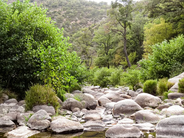  Dağ nehri, yeşillik, eko-turizm manzaralı dağ nehri yemyeşil ve doğal manzarayla çevrili. Çevre turizmi için mükemmel bir yer, deniz kenarında piknik, ya da kuraklık ve iklim değişikliği hakkında çevre bilinci.