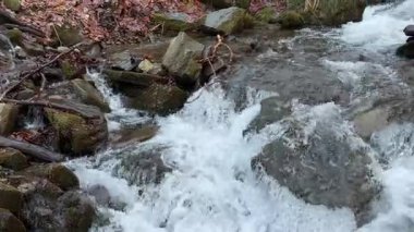 Taşlar ve kayalar nehir akıntısıyla yıkanmış, küçük bir şelale hareket halinde, güneş ve su