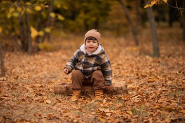 Sonbahar parkında mutlu bir çocuk. Sonbahar konsepti, sonbahar havası.