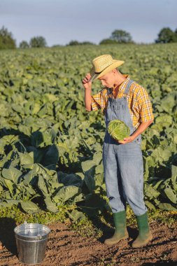 A young farmer in overalls and a straw hat holds a head of cabbage and looks down at a metal bucket in a vast green field