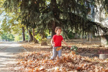 A cheerful and energetic young boy runs and plays, kicking up a pile of golden autumn leaves in a park. Autumn concept,  autumn season,  fall 