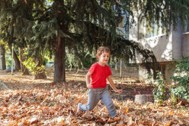 A cheerful and energetic young boy runs and plays, kicking up a pile of golden autumn leaves in a park. Autumn concept,  autumn season,  fall 