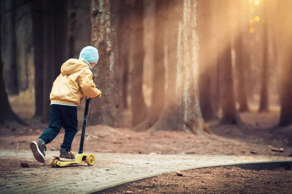 小男孩在黄昏公园的滑板车上溜冰, 灯笼下的灯。孩子骑着滑板车沿着小路在黑暗的森林。在滑板车上的儿童色调的图片。阳光灯穿过树干. — 图库照片