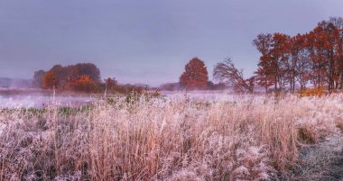 Kasım ayında sonbahar doğa manzara. Çayır ve ağaçlar panoramik manzarasının hoarfrost kaplı. Sonbahar. Sonbahar sabah toplayan.