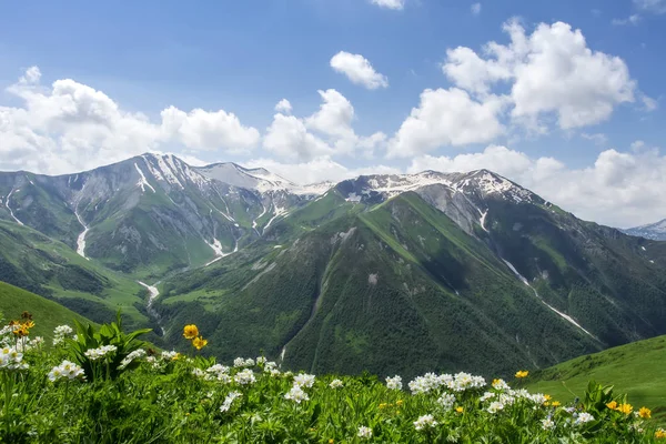 Amazing view on georgian mountain landscape on summer sunny day in Svaneti. Green hills covered grass and flowers against mountains. Perfect day in Georgia. Scenery of vibrant nature — Stock Photo, Image