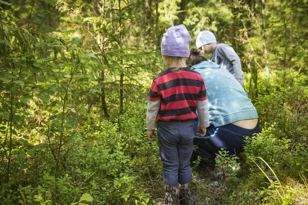在阳光明媚的日子里, 妈妈和孩子们在夏日森林里摘浆果。森林里的家庭需要蓝莓. — 图库照片