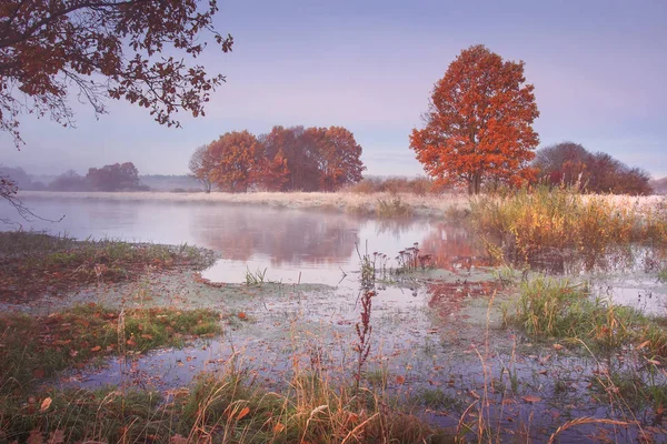 Paysage naturel d'automne. Arbres colorés sur la rive de la rivière dans la matinée claire. Nature scénique en octobre — Photo