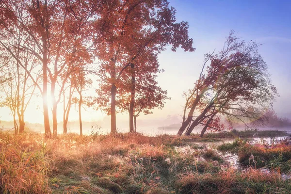 Ζωντανό τοπίο φθινοπωρινό τοπίο στην όχθη ποταμού με ζωηρά ηλιαχτίδες μέσα από δέντρα. Πτώση. Καταπληκτικό πολύχρωμο φθινόπωρο φύση. Κόκκινο φύλλωμα στα δέντρα Οκτωβρίου σαφή πρωί — Φωτογραφία Αρχείου