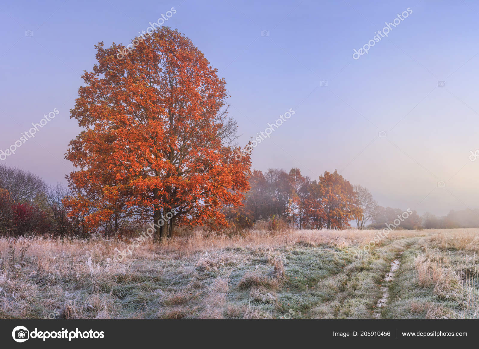 38 November Bilder Herbst Besten Bilder von ausmalbilder