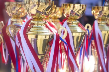 Spor Kupa ve madalya yarışmalarda ödüller. Şampiyonlar spor yarışmalarında ödül. Kupası ve Bedal