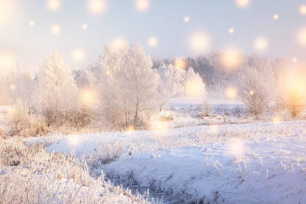 Winter landscape. Christmas Holiday Background with color snowflakes. Magic winter. Sun shine on snowy trees and plants with hoarfrost — Stock Photo, Image