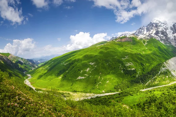 Vista panorámica de las montañas Svaneti. Hermosas tierras altas verdes en Georgia. Pico nevado de montaña, colinas y río de montaña en el día de verano en Adishi. Una tierra maravillosa. Increíble naturaleza. Paisaje vibrante . —  Fotos de Stock