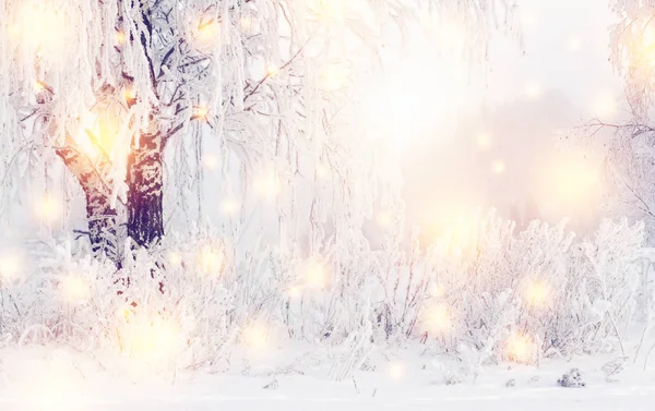 Magic christmas winter background. Shining Snowflakes and winter nature with hoarfrost on trees. Frosty winter. White snow on plants and trees. Cold and frost in outdoor. — Stock Photo, Image