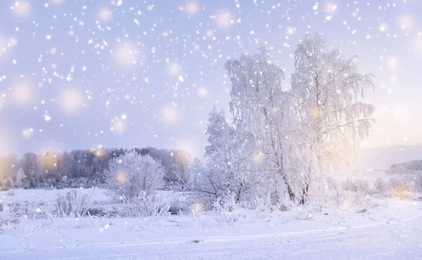 Winterlandschaft mit Schneeflocken. Raureif auf Bäumen. Frostkalter Winter. Weihnachten und Neujahr Hintergrund. Ruhige Winterlandschaft. — Stockfoto