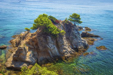 Havadan görünümü yeşil ağaçlı Akdeniz Adası kayaya. Mavi deniz güneşli yaz gününde İspanyol sahil şeridi. Dağ tropikal doğa manzarası. Lloret de Mar bay kayalar ve taşlar ile.