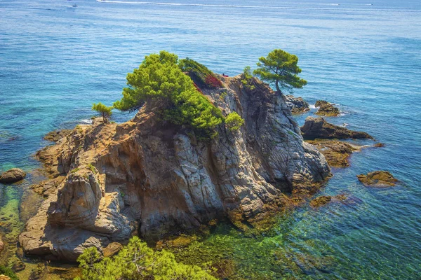 Aerial view on island rock with green tree in mediterranean sea. Spanish coastline of blue sea on sunny summer day. Mountain tropical nature landscape. Bay in Lloret de Mar with rocks and stones.