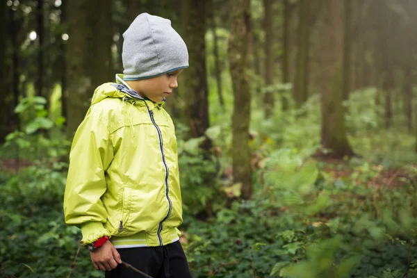 Little Boy berjalan di hutan hijau pada musim gugur. Aktivitas rekreasi di luar ruangan. Anak di hutan. Mendaki dengan anak-anak . — Stok Foto