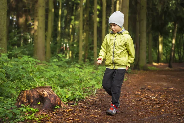 Anak kecil yang mendaki di hutan hijau. Anak laki-laki berjalan di hutan luar. Anak-anak hiking. Anak pejalan kaki di jalan di hutan hijau — Stok Foto