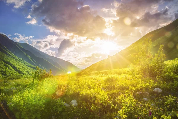 Sunny mountains landscape. Mountain range and yellow sunlight on grassy hills. Amazing sunset in highlands. Svaneti nature scenery. Vivid sun over beautiful wild nature. Vibrant landscape. — Stock Photo, Image