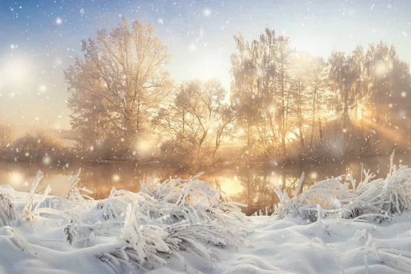 令人惊叹的冬季景象, 明亮的早晨日出与充满活力的阳光通过霜冻和下雪的树木。冬季降雪。自然景观的冷圣诞节早晨。圣诞节背景. — 图库照片