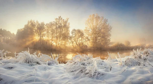 Zimní příroda krajina za úsvitu. Zmrzlý stromy v ranní slunce. Vánoční pozadí. — Stock fotografie