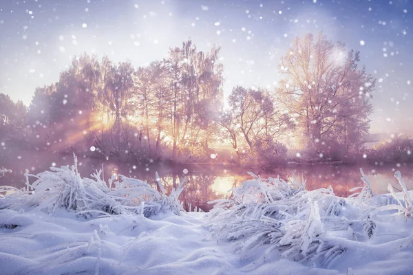 Paysage naturel hivernal en chutes de neige. Arbres enneigés et givrés au soleil du matin. Fond de Noël — Photo