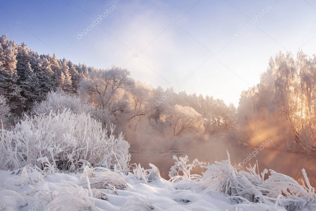 Frosty winter nature landscape in pink morning sunlight. Scenery winter with hoarfrost on trees and plants. Beautiful winter day. Christmas background. Snowy nature.