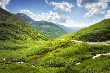 Svaneti, Gürcistan'daki dağ doğa manzarası. Şaşırtıcı görünümü parlak güneşli çimenli tepelerde. Harika Yaylaları. Sahne Caucasus canlı dağ çayır. Güzel doğal vahşi doğa.