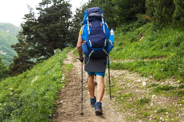 Trekking. Homens com mochilas na montanha. Trilha de caminhada. Caminho com dois turistas através da floresta. Turismo desportivo. Caminhantes no caminho — Fotografia de Stock