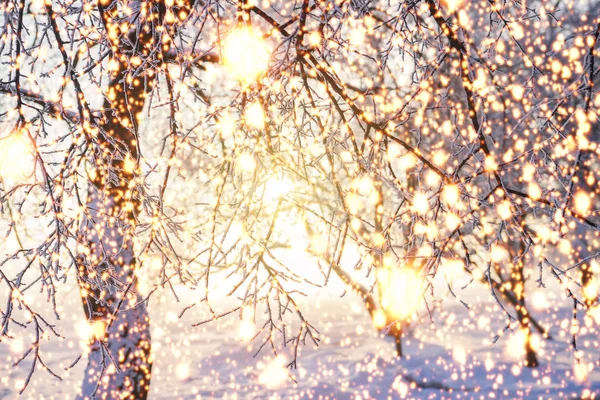 Φύση χειμώνα Χριστούγεννα φόντο με λαμπερό φώτα. Μαγικά φώτα στη φύση χειμώνα χιονισμένο. Νέο έτος χρόνου — Φωτογραφία Αρχείου