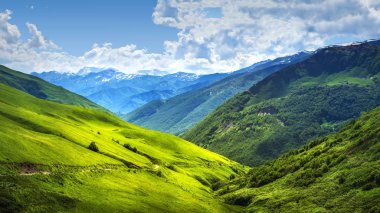 Alp dağ manzarası. Svaneti dağlar aralıkları. Parlak güneşli Gürcü highlands yeşil çimenli tepede. Manzara harika canlı doğa muhteşem görünümü. Caucasus Valley güzel gün.