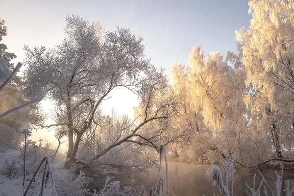 Зима. Снежные деревья с иголочками на ветвях на берегу реки при утреннем солнечном свете. Рождественский фон Ледяная естественная сцена. Зимний пейзаж — стоковое фото