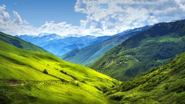 Alpine mountain landscape. Svaneti mountains ranges. Green grassy hills in Georgian highlands on sunny bright day. Amazing view on scenery wonderful vibrant nature. Beautiful day in Caucasus valley. — Stock Photo, Image
