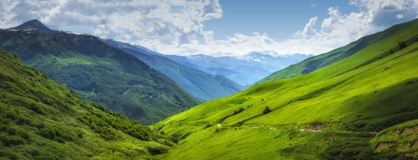Vibrante paisaje de montaña. Prados verdes en las altas colinas de Georgia, región de Svaneti. Vista panorámica de las praderas en el soleado día de verano. Montañas del Cáucaso. Naturaleza idílica —  Fotos de Stock