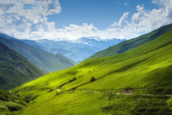 Green valley mountain landscape. Svaneti nature, Georgia. Beautiful view on alpine hills on sunny summer day. Wonderful Caucasus mountains range. Green meadow on hill side. Bright day in mounts.
