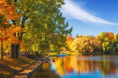 Sonbahar manzara açık güneşli günde inanılmaz. Renkli ağaçlar park gölde su yüzeyine yansıtılır. Güzel sonbahar park açık. Sonbahar. Nesvizh park göl kıyısında renkli ağaçlar ile.