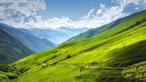 Alpine valley landscape. Scenery mountains on sunny bright day. Mountain landscape in Svaneti region of Georgia. Scenic Caucasus nature. Grassy hills, blue sky with white clouds. Idyllic landscape. — Stock Photo, Image