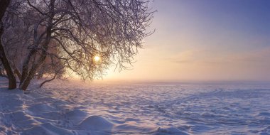 Kış manzara akşam günbatımında. Kar, Ocak ayında frost. Kış Doğa arka plan. Ağaçlar güneş ışığı altında. Güzel sahne kış.
