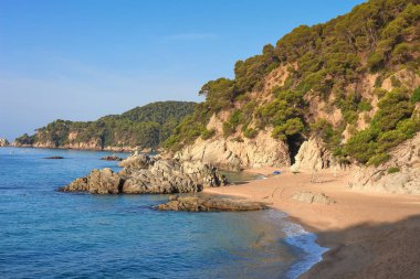 Cala de Boadella platja. Bir Lloret de Mar, Costa Brava, İspanya plaj. İspanyol Çıplaklar Plajı. Akdeniz harika vahşi Beach'te. Sandy beach ve çam ağaçları tepelerde kayalar. Deniz manzara
