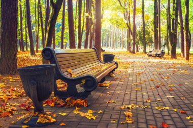 Sonbahar Park. Sonbahar manzara. Tezgah sonbahar parkta. Renkli yaprakları. Parlak sonbaharda güzel gün.