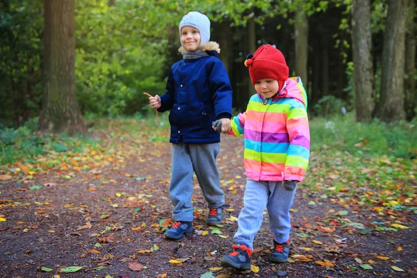 Persahabatan anak-anak. Anak-anak berjalan di taman hutan. Laki-laki dan perempuan berpegangan tangan. Anak-anak kecil berjalan bersama dengan pegangan. Anak-anak kakak beradik di taman musim gugur . — Stok Foto