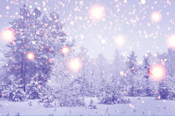 Φόντο διακοπές Χριστουγέννων. Φύση χειμώνα. Λαμπερό μαγεία φώτα στο υπέροχο δάσος. Χειμωνιάτικο τοπίο της φύσης. — Φωτογραφία Αρχείου
