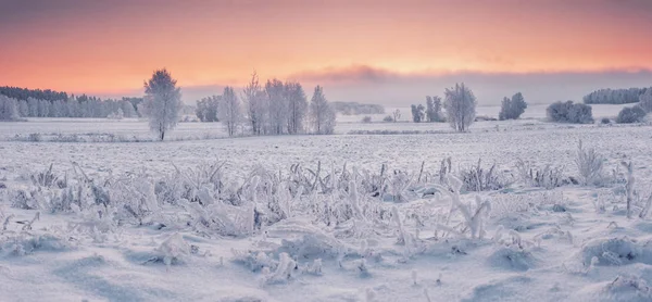 Paysage naturel hivernal panoramique à l'aube — Photo