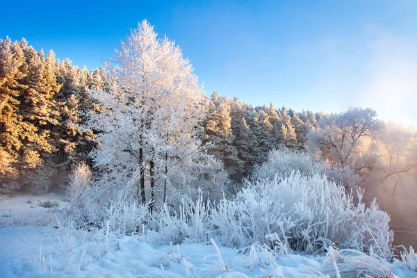 Hermoso paisaje de invierno por la mañana a la luz del sol — Foto de Stock