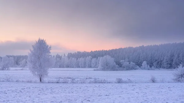 Paisagem de inverno nevado ao nascer do sol. Natureza gelada incrível — Fotografia de Stock