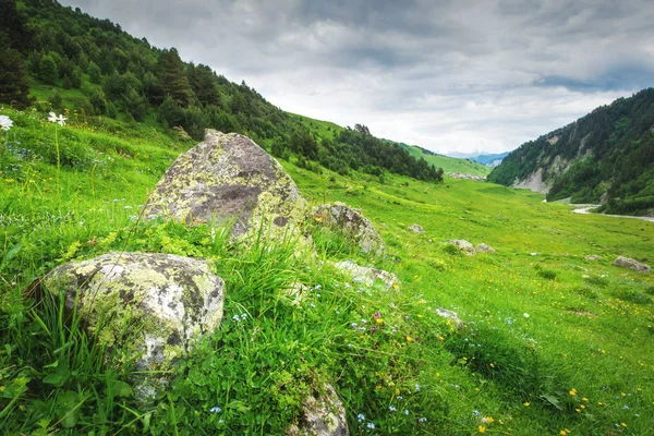Georgia nature landscape in highlands — Stock Photo, Image