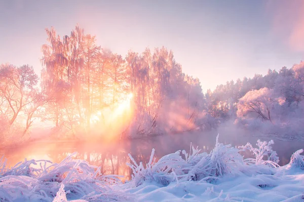 Зимний пейзаж природы в розовом свете утреннего солнца — стоковое фото